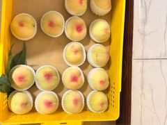 -老袁家蜜桃农场·阳山水蜜桃