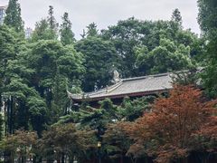 -温江公园