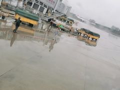 -合肥新桥国际机场-航站楼