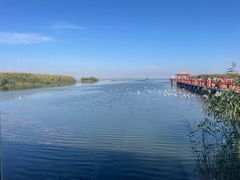 -乌梁素海景区