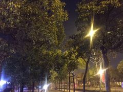 -上海金逸影城(静安大悦城店（原新恒星影城）)