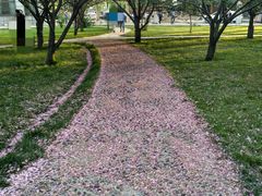 -曲阜师范大学(曲阜校区)