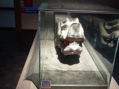 -邺城博物馆