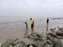 -南汇嘴观海公园