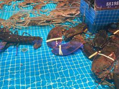 水产区-驻海渔市(置信店)