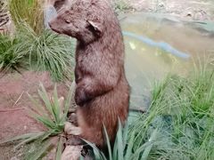 -陕西自然博物馆