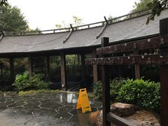 -航空小镇温泉