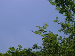 -东方绿舟景区