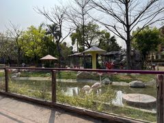 -灵玲国际马戏城