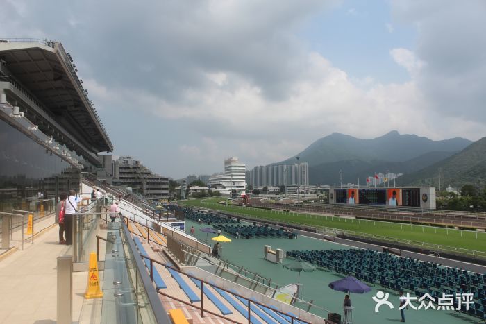 香港赛马会(沙田马场)图片