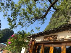 -村上春树