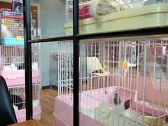 -藦茜花园宠物主题亲子互动体验馆(国顺东路店)