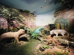 -湖南省地质博物馆