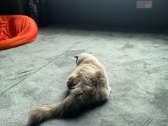 -零纪元VR体验馆·桌游(黄浦店)