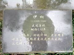-重庆抗战遗址博物馆