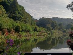 -深圳仙湖植物园