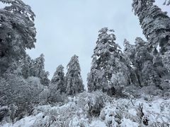 -瓦屋山景区