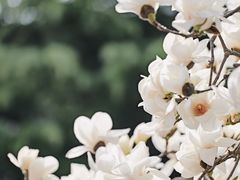 -西安市广仁寺