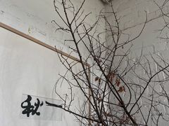 -苏州本色美术馆