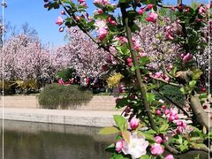 -海棠花溪(元大都城垣遗址公园)