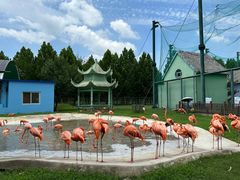 -秦皇岛野生动物园