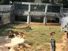 -昆明动物园