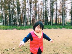 -上海长兴岛郊野公园