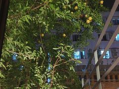 -羊门客在·烤盐池滩羊·川菜