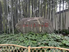 -上海醉白池公园