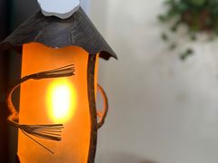 -猫小院猫主题餐厅(南锣旗舰店)