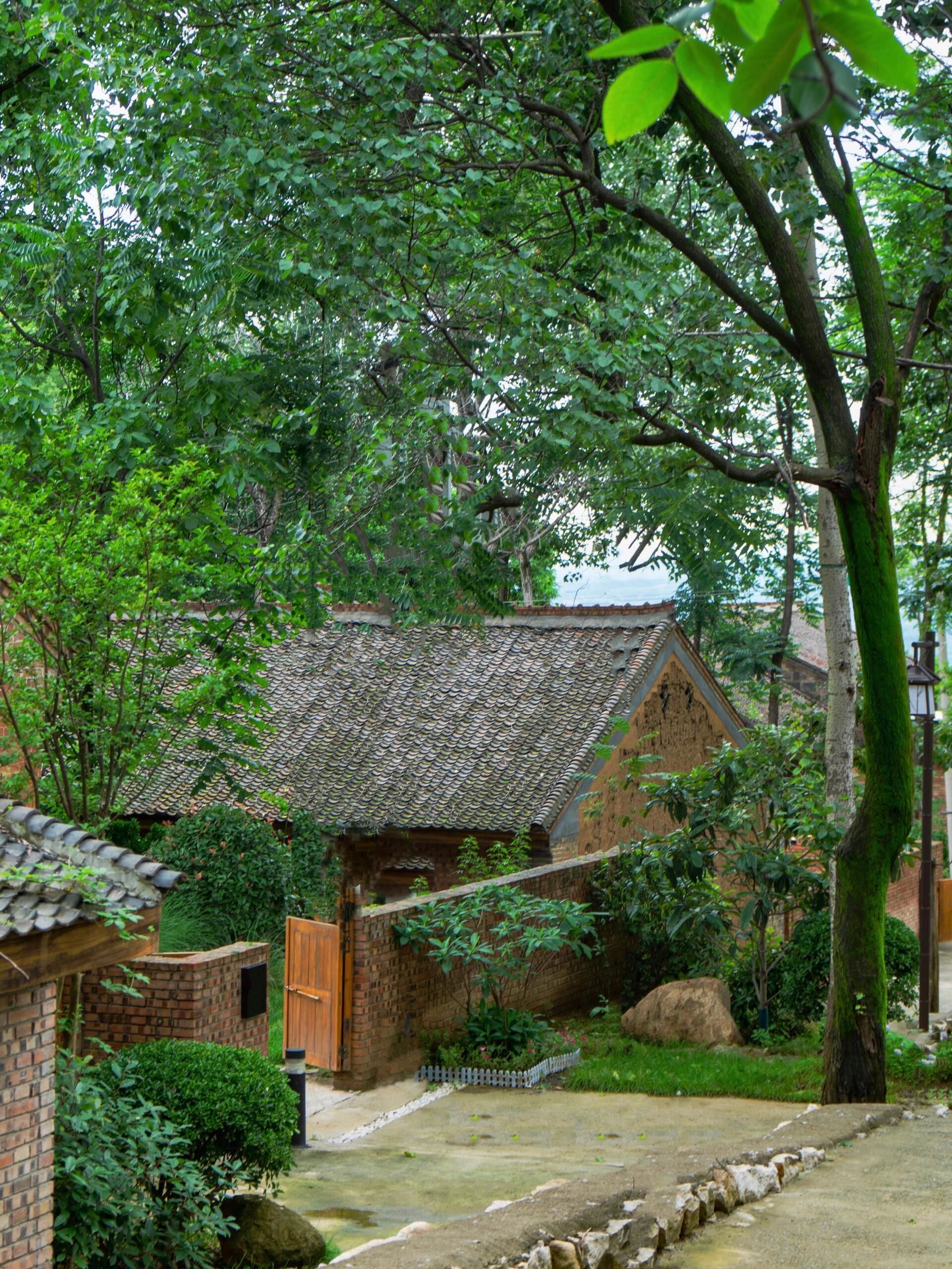 回到儿时的院子里,好好的睡一觉