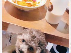 -十面春风·江南面馆(崇宁路店)