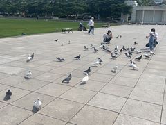 -大连人民广场