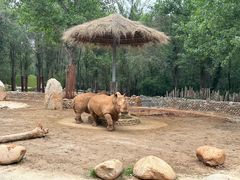 -北京野生动物园