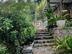 -MOJ coffee(瓯海泽雅水碓坑店)