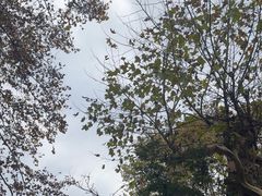 -贵州省植物园