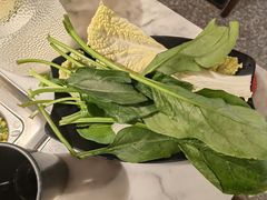 -新辣道鱼火锅(领展购物广场·中关村店)