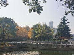 -后襄河公园