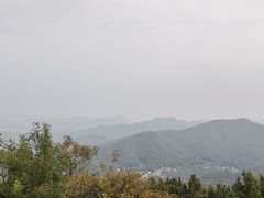 -灵顺寺