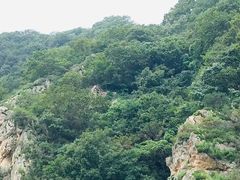 -大连冰峪旅游度假区