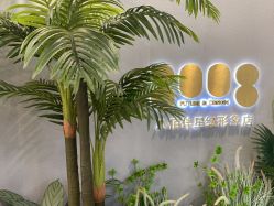 -八佰伴8008星级形象店