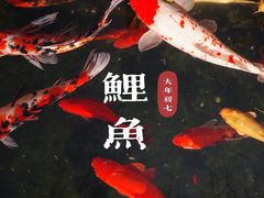 -南翔古镇