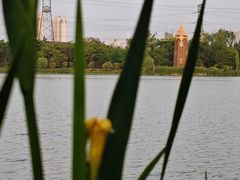 -昆山城市生态森林公园