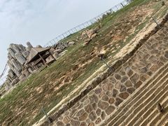 -石家庄市动物园