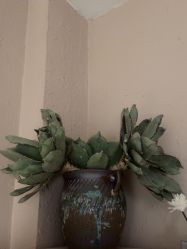 -香秀空间科技抗衰·美容中心