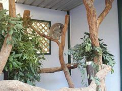 -费瑟代尔野生动物园