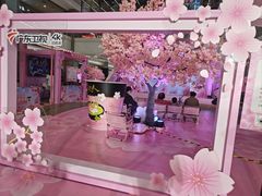 -PO PARK东方宝泰