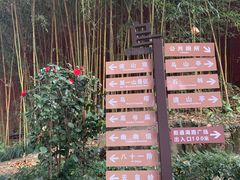 -乌山风景区