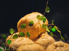 -大拙里·精致融合菜(沙湖桃源国际店)