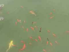 -云溪植物园